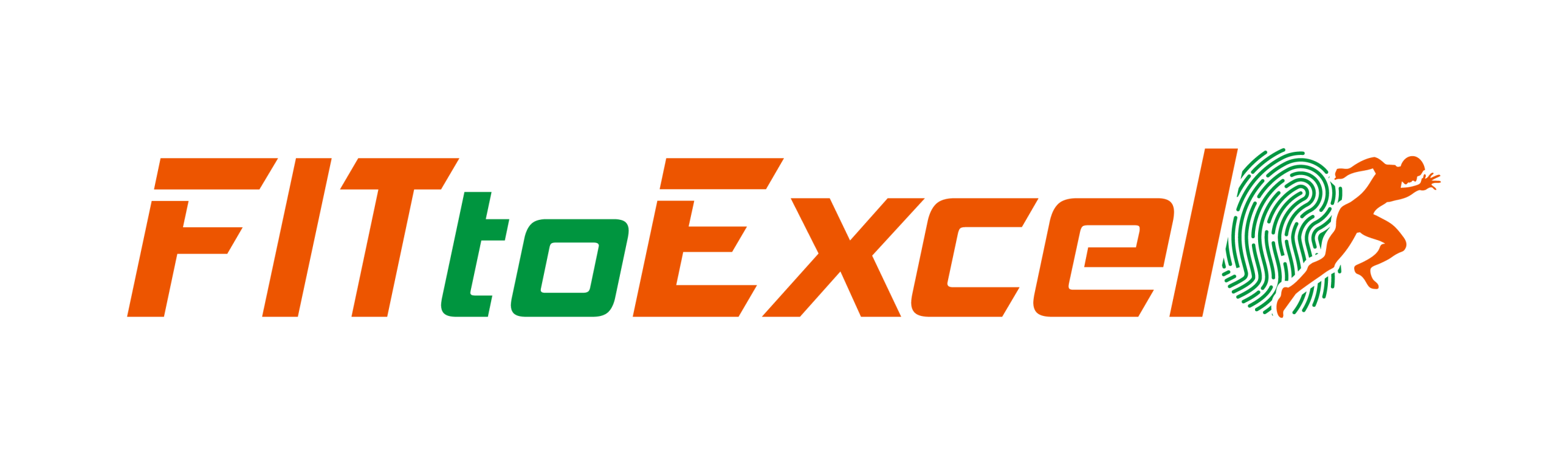 FITtoExcel Logo