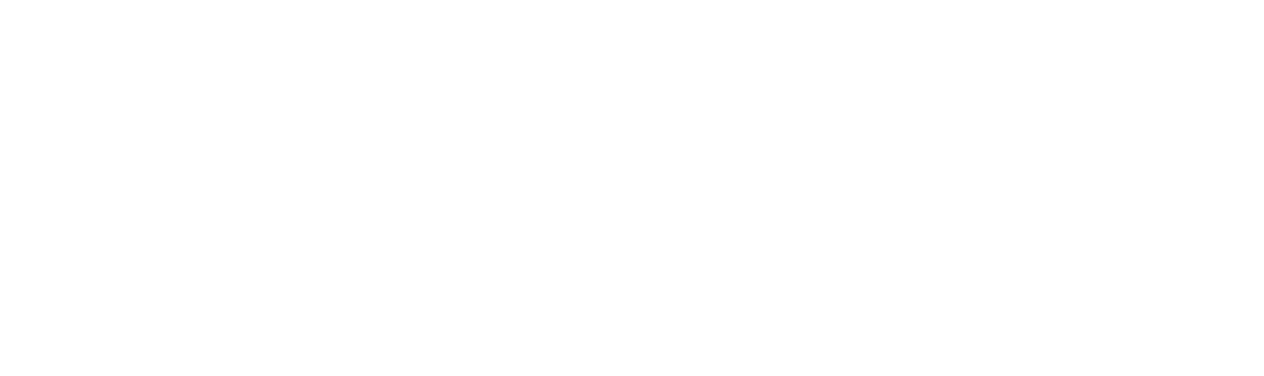 FITtoExcel Logo